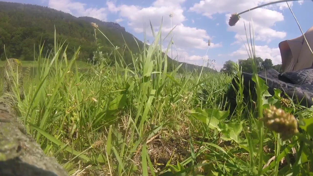 Relaxing in Natur