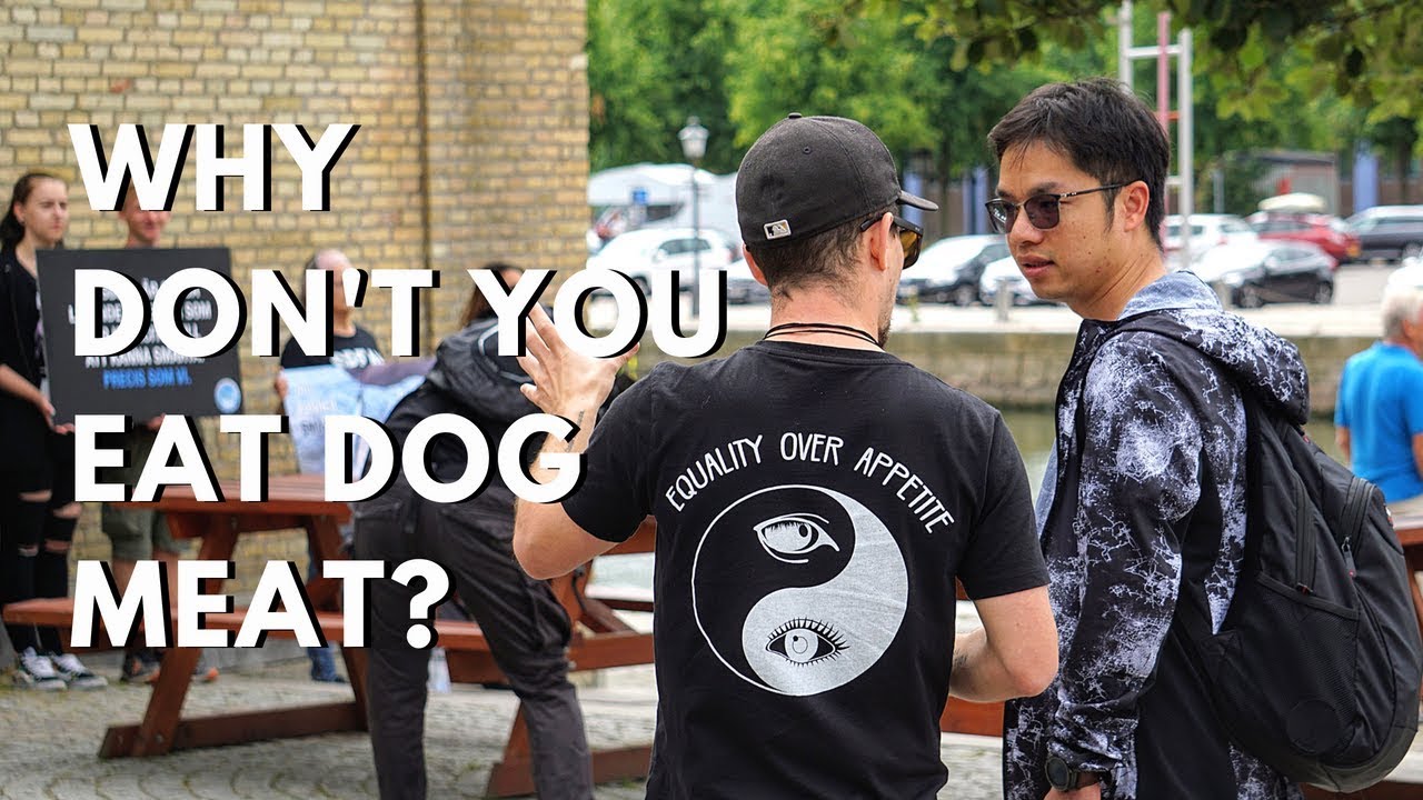 WHY DON'T YOU EAT DOG MEAT?? | Tourist Makes The Connection
