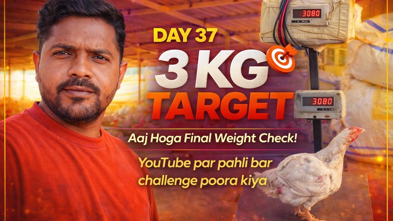 37 दिन में असली Profit कितना हुआ? पूरा हिसाब किताब खोल दिया 💰