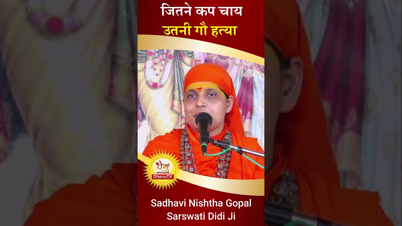 जितने कप चाय उतनी गोहत्या  #Tea #gohatya #dhenutv #sadhvinishthagopalsarswati