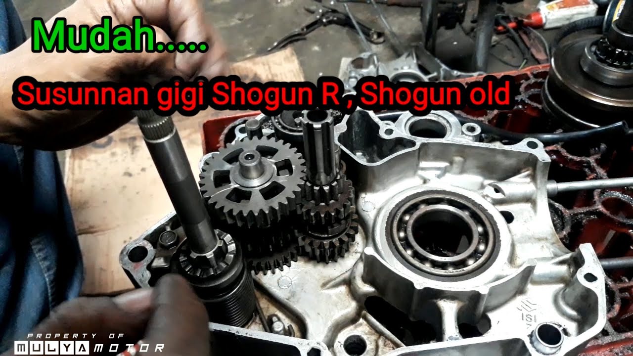Cara mudah susun gigi Shogun R atau Shogun old.