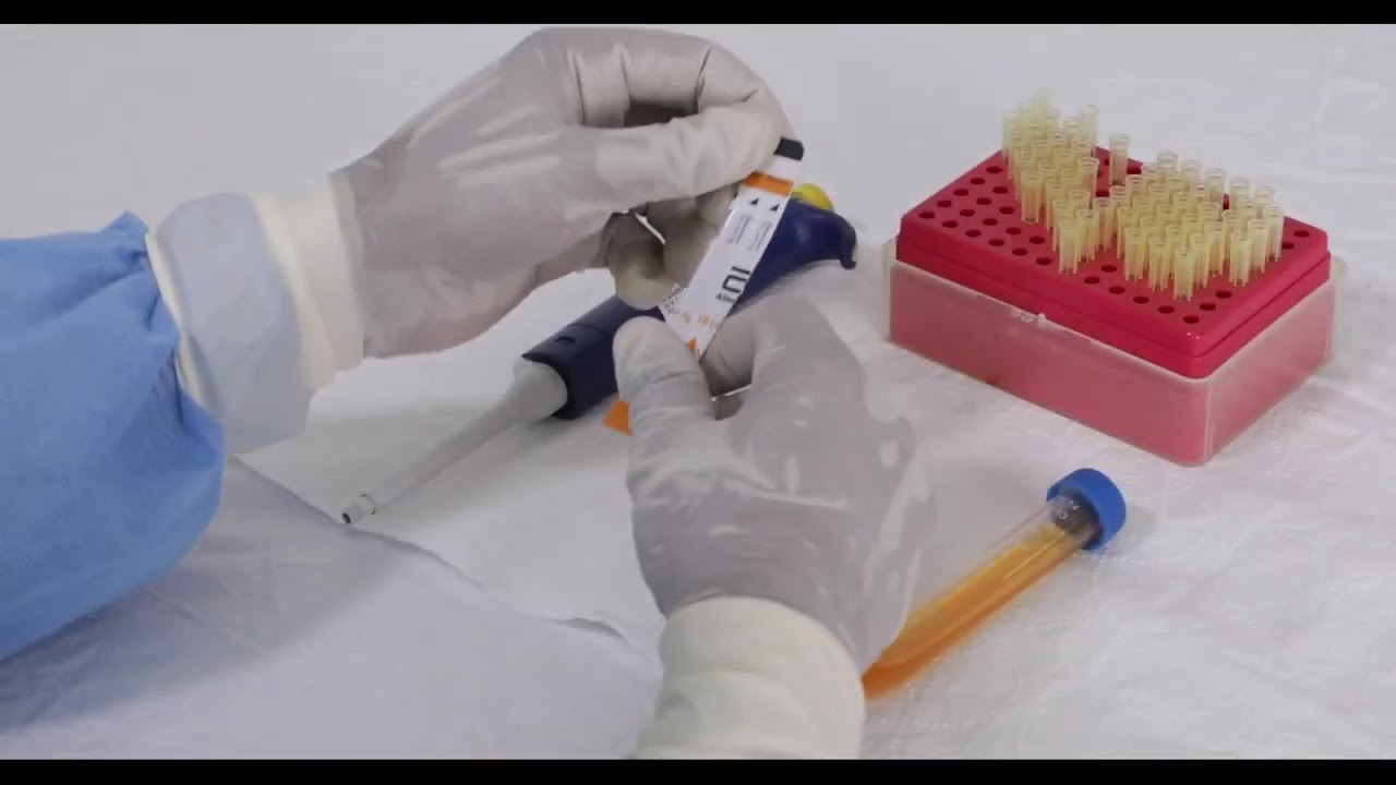 Procedure for The Determine™ TB LAM Ag test