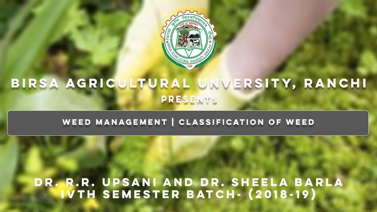Weed Management | Classification of Weed | By Dr. R.R. Upsani and Dr. Sheela Barla