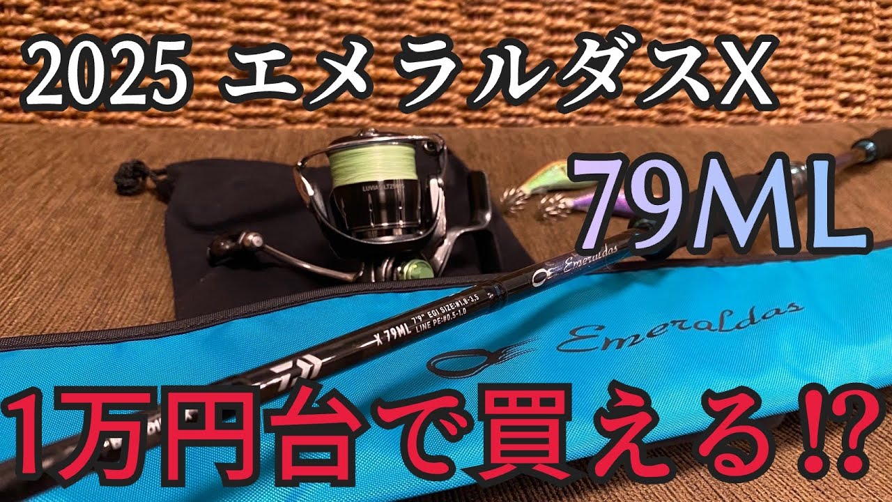 【エギング】新発売のダイワエギング入門ロッドがヤバすぎる【1万円台】