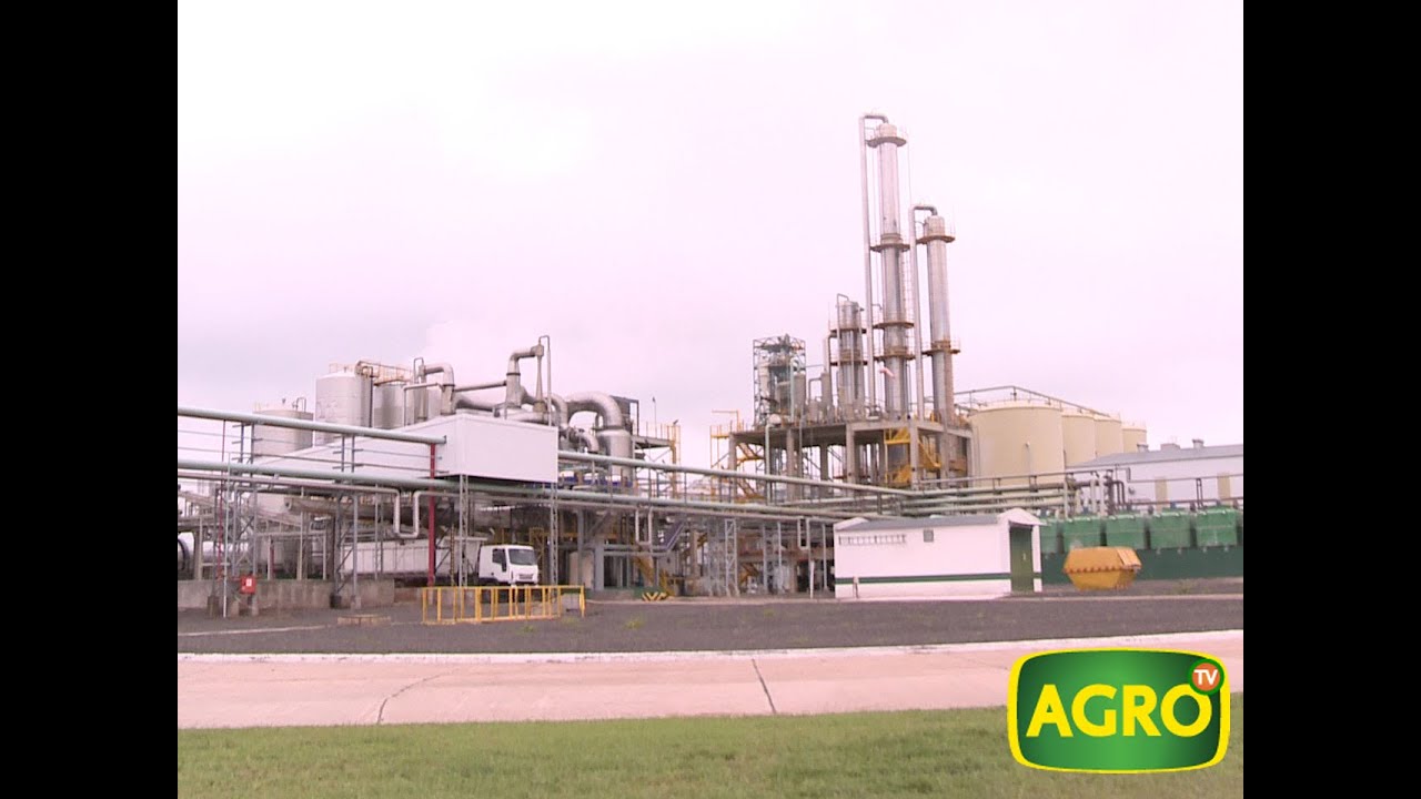 Bio4 y BioEléctrica: Valor agregado, transformación del maíz en Etanol (#658 2016-03-12)