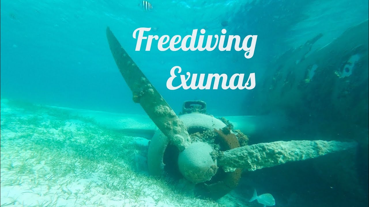 Dive into the beautiful underwater worlds of the Exumas with SY Jollity