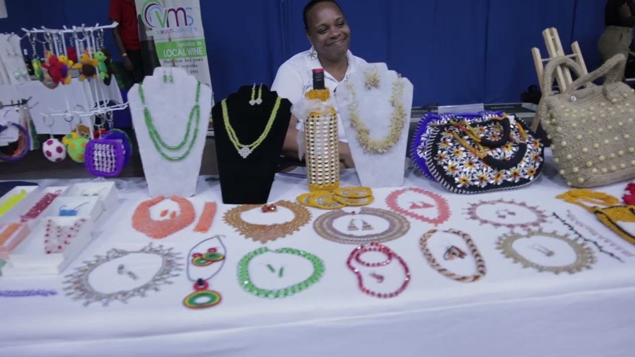 OECS Tourism Policy Explained | Maria Fowell, Senior Technical Specialist