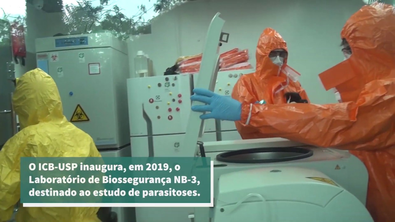 Laborat&oacute;rio de N&iacute;vel de Biosseguran&ccedil;a 3 (NB3) dedica-se ao estudo de mal&aacute;ria e febre maculosa