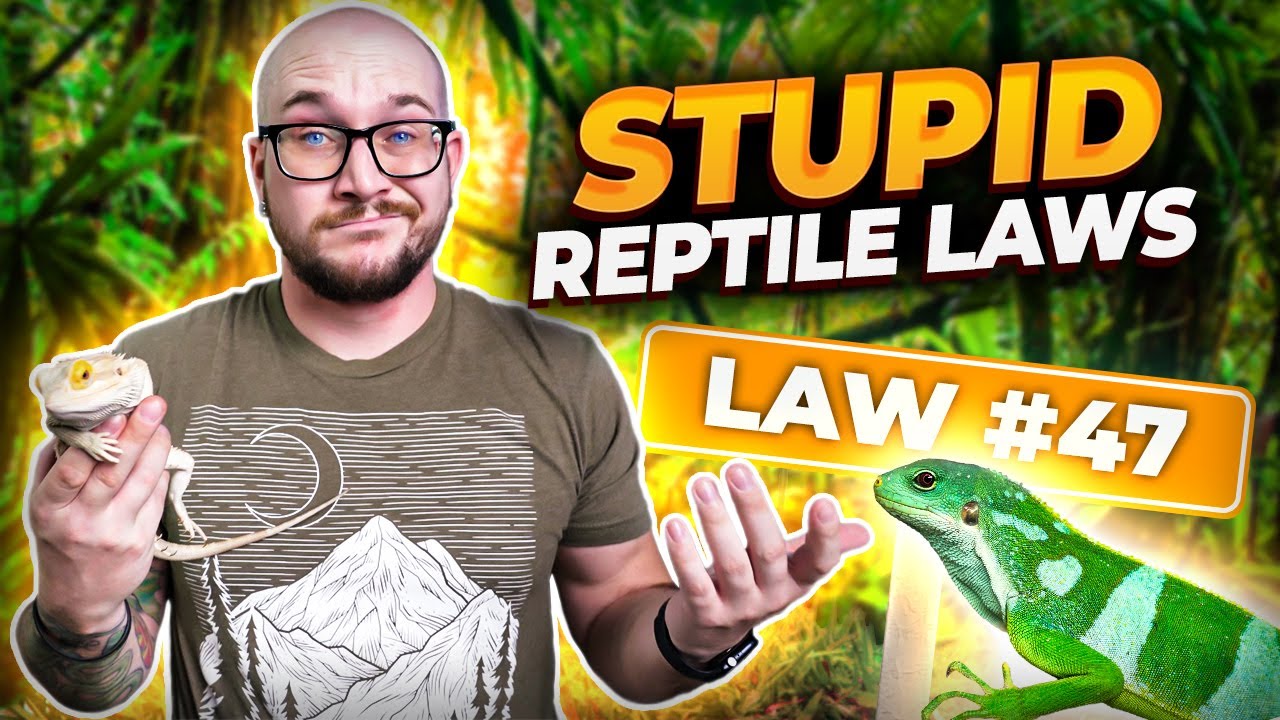 The 5 DUMBEST Reptile Laws and One That Just Changed The Hobby Forever!