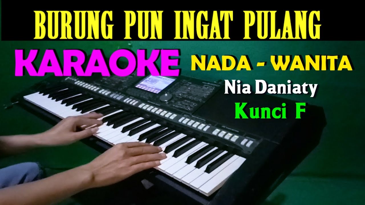 BURUNG PUN INGAT PULANG - Nia Daniaty | KARAOKE Nada Wanita || F=DO