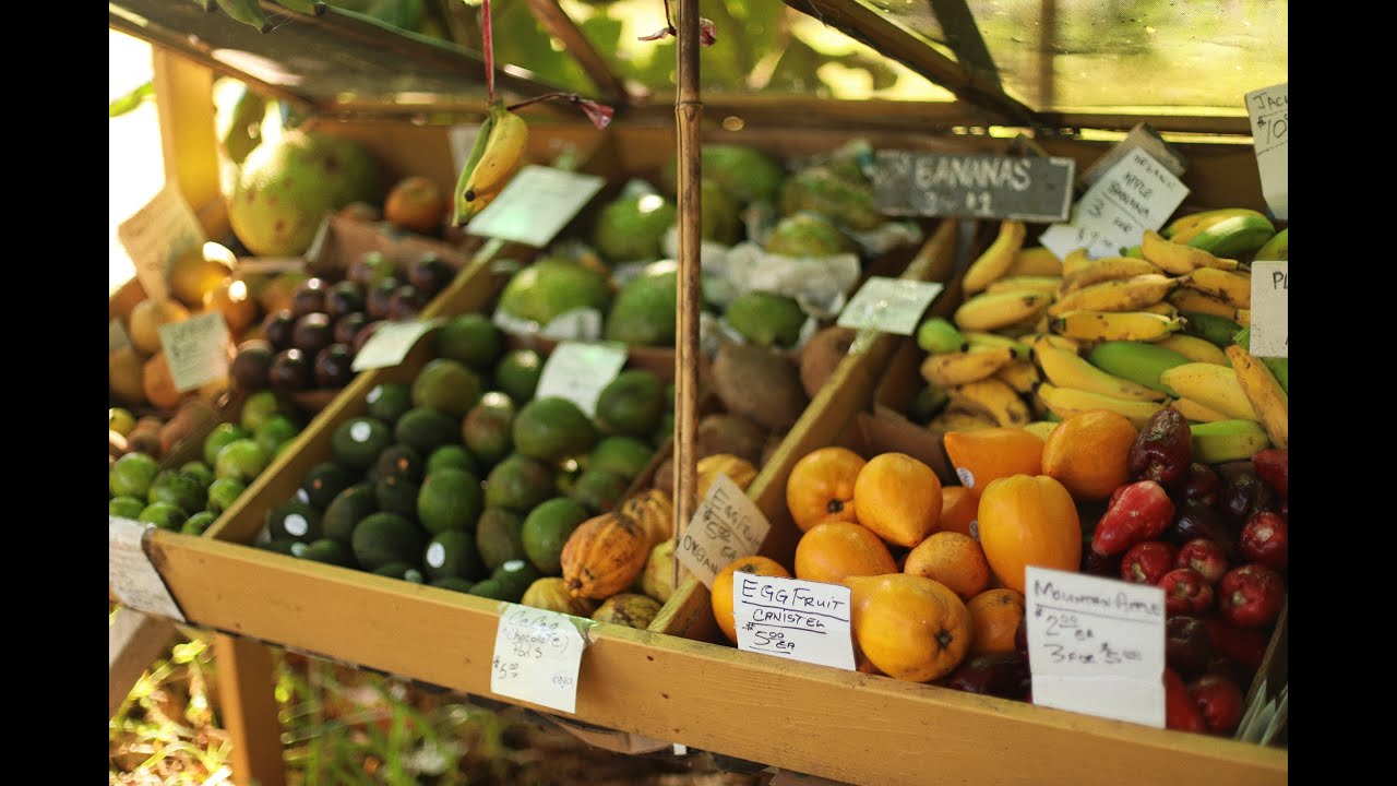 Organic Farm Life @ Ono Organic FarmsMaui Hawaii