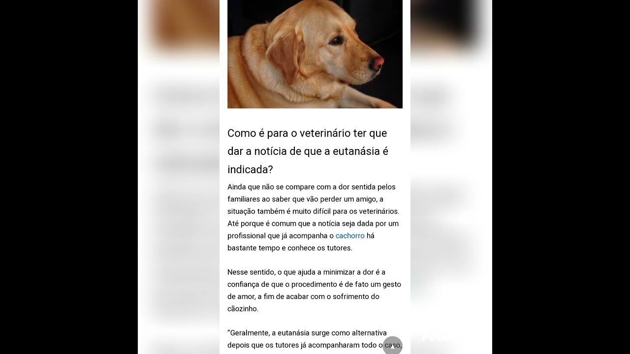 DICAS DE VET COM RAY E LILY (VETERILIFE) 3 TEMPORADA EP 1