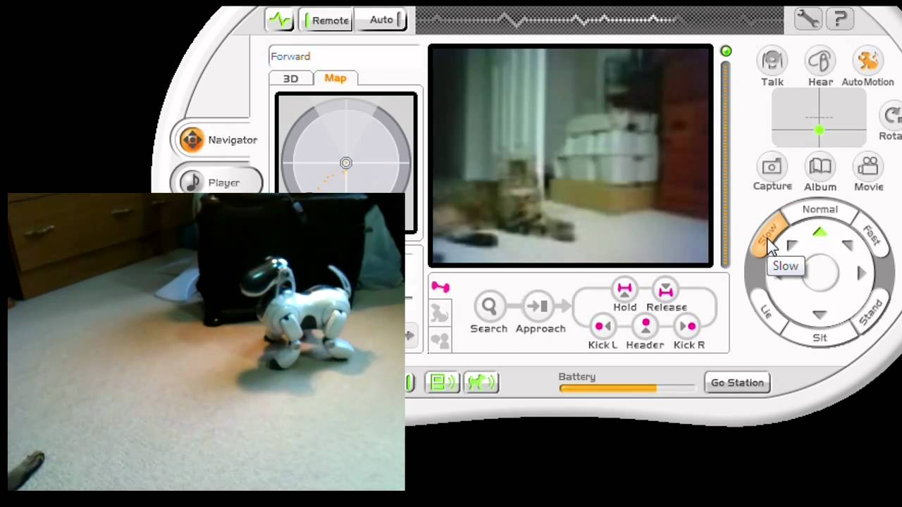 Aibo's view