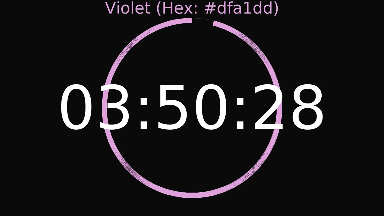 4 Hour Timer | Violet Colour
