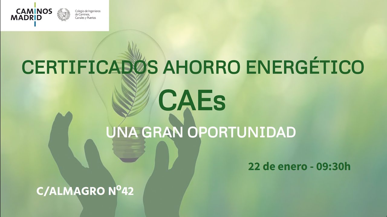 Certificados Ahorro Energético. CAEs