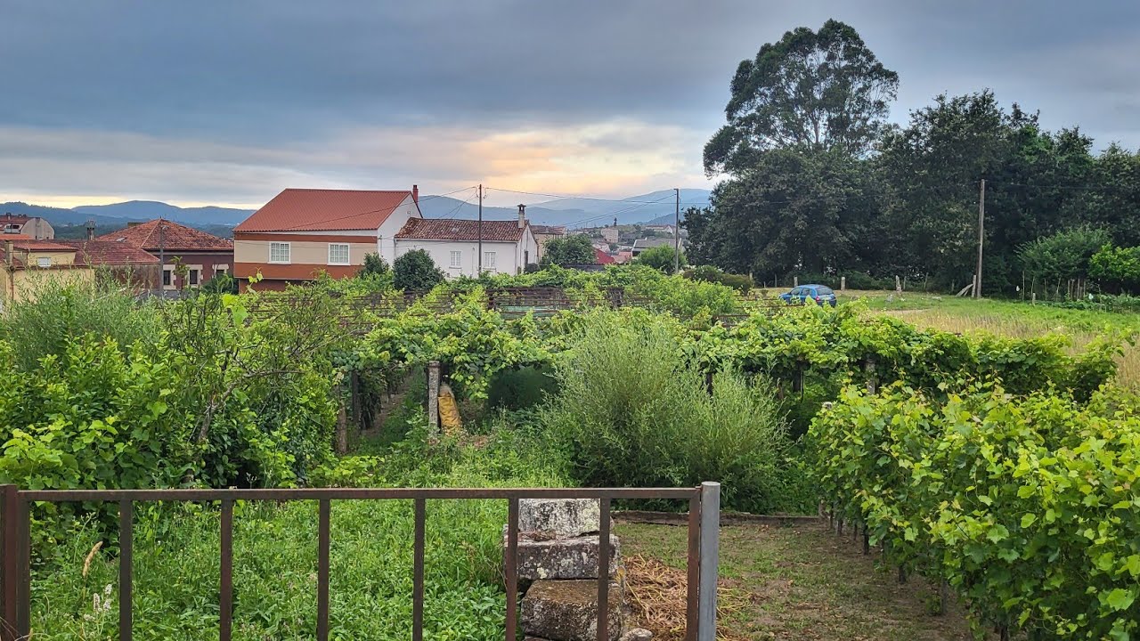 jour - 90 de Padron à  Caldas de Reis 20 kms