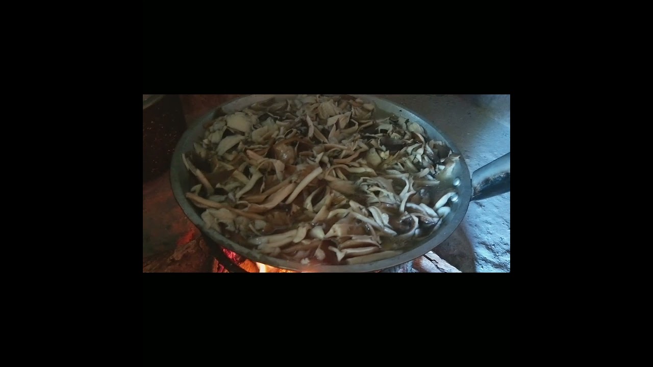 ADOBONG MUSHROOM/KABOTE PAANOLUTUIN