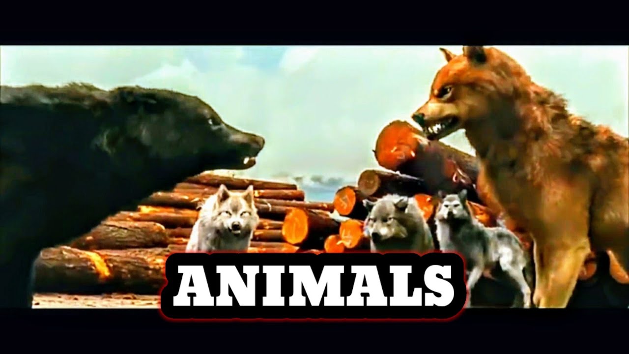 The Twilight Saga | Maroon 5 Animals | Music video.
