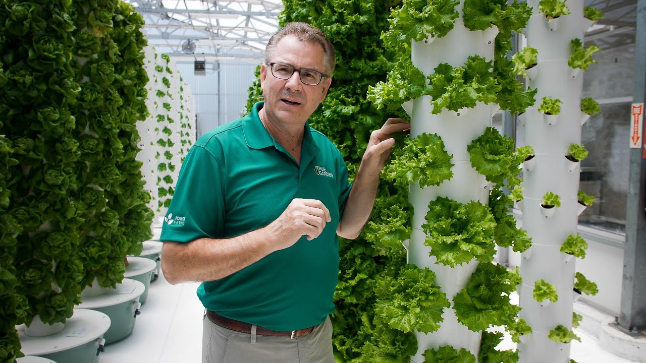Food Sovereignty is the Future of Farming | True Garden