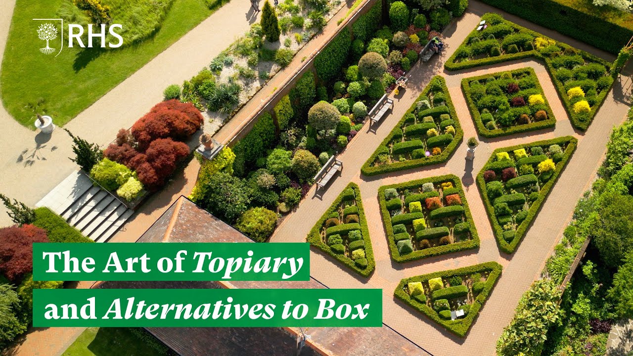 The Art of Topiary - Tool maintenance, plant recommendations and clipping techniques | The RHS