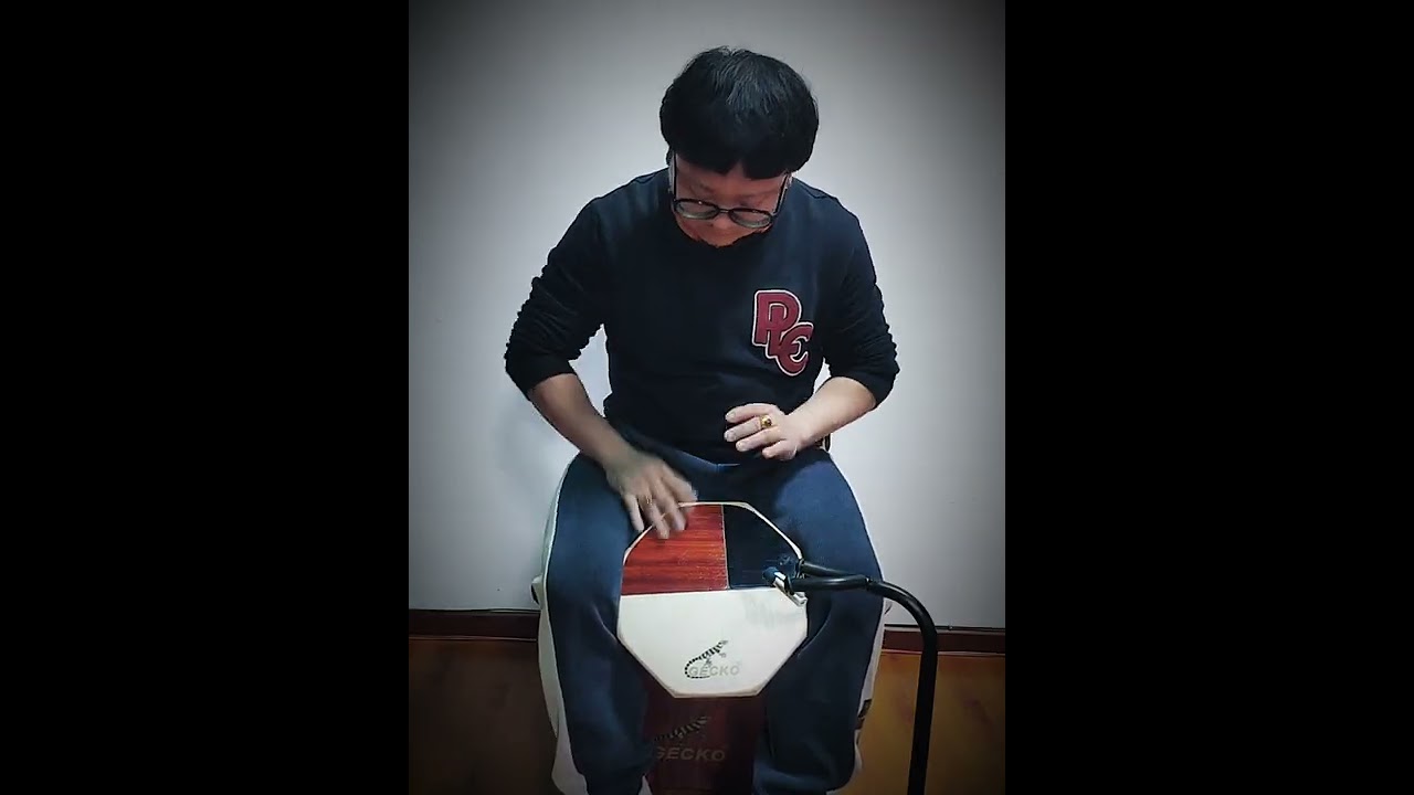 GECKO Mini Cajon  SD6 Cover --Chen Tong