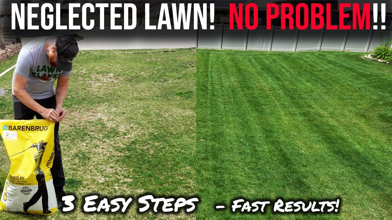 FIX YOUR NEGLECTED LAWN! NO CHEMICALS! easy way to grow grass seed, even in the summer!