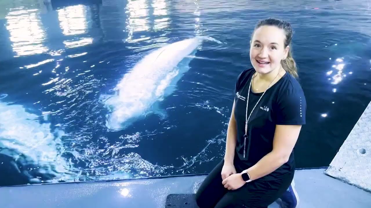 World Whale Day 2024 | The SEA LIFE Trust