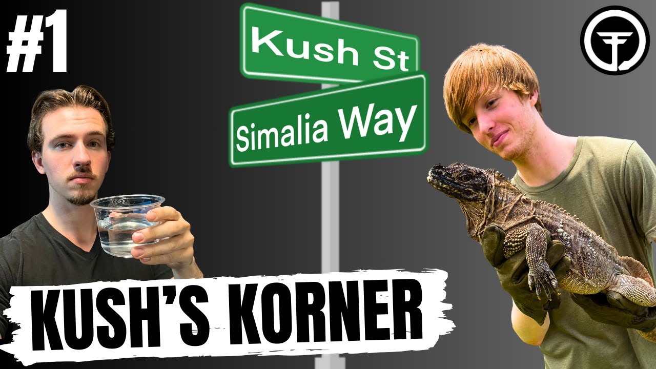 Alex Myers speaks on where things are at in the reptile world | Kush's Korner Ep.1
