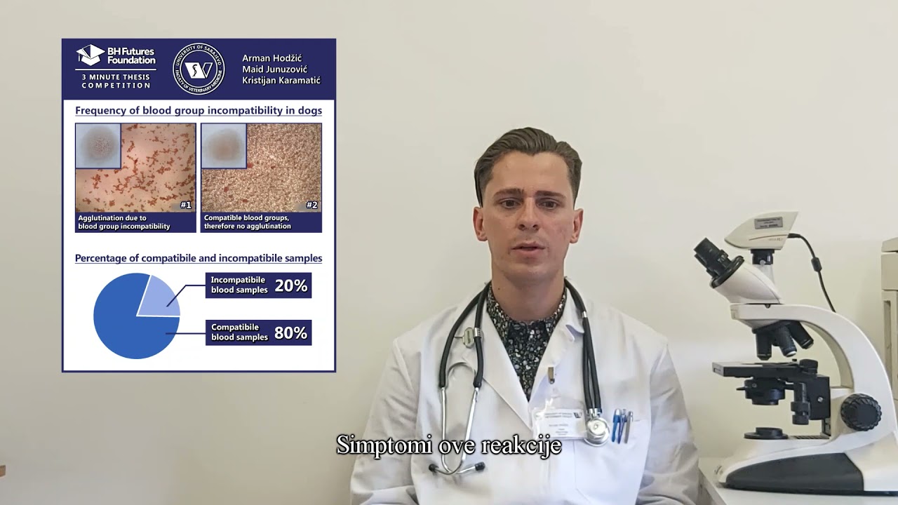 Arman Hodzic 3MT Presentation: Transfuzija krvi pasa: krvne grupe i monitoring transfuzije