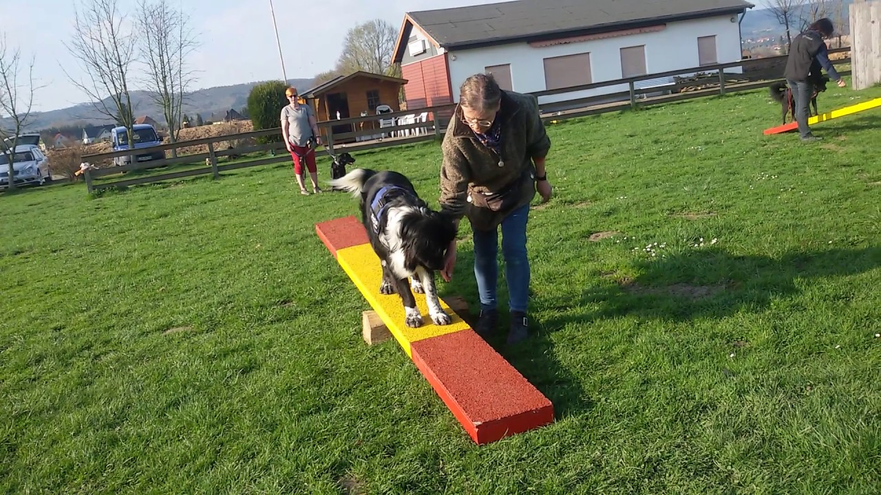 &Uuml;bung Wippe, Bereich Agility.