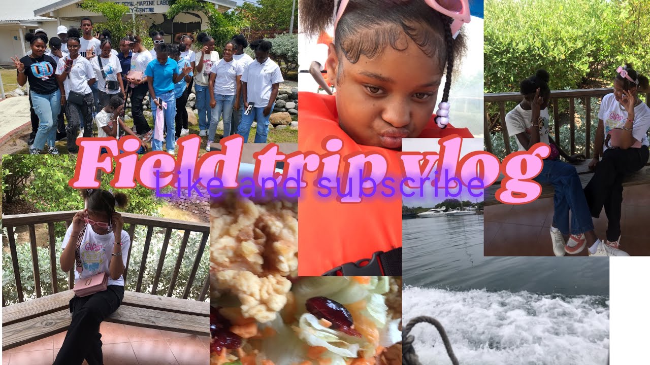 Field trip to Kingston in Jamaica 🇯🇲