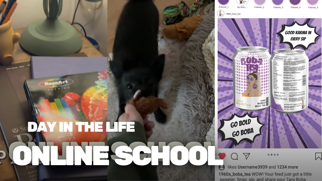Day In The Life Online School| Rosalyn Vlogs
