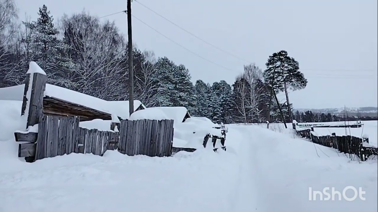 Мой снежный Апокалипсис февраля
