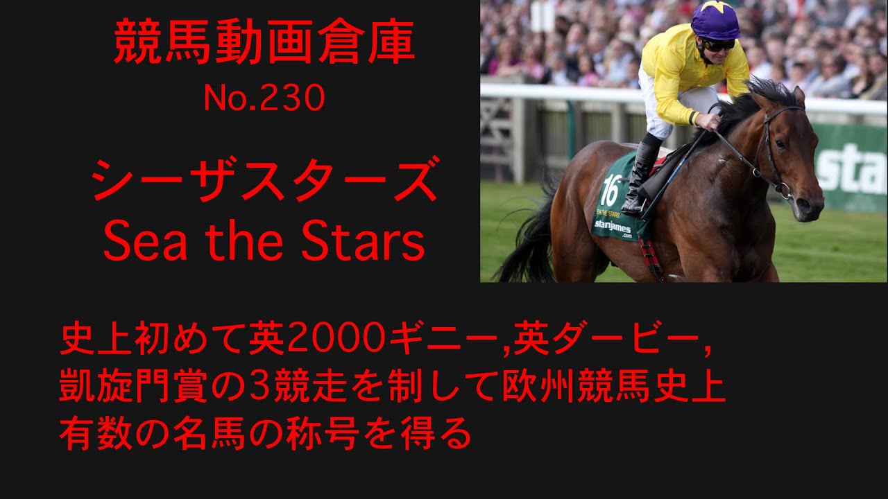 【競馬】シーザスターズ　Sea The Stars【No 230】