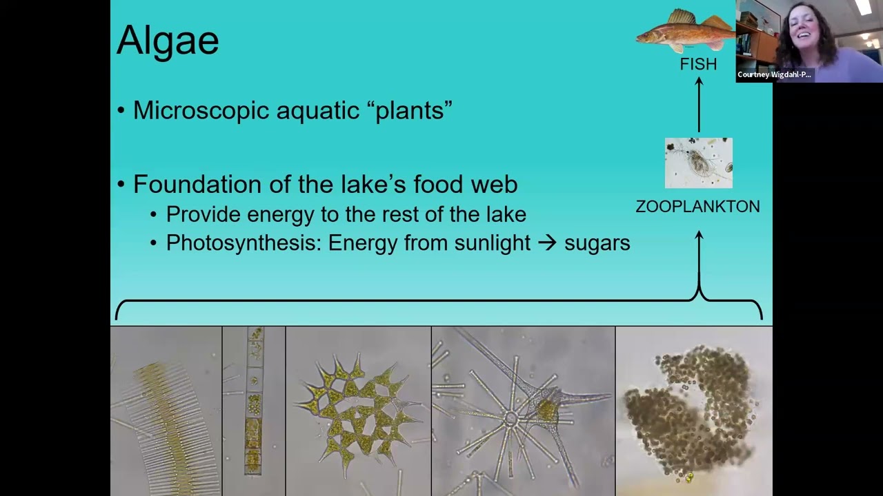 06/01/23 Niagara Group Environmental Series: Harmful Algal Blooms Beyond Lake Erie