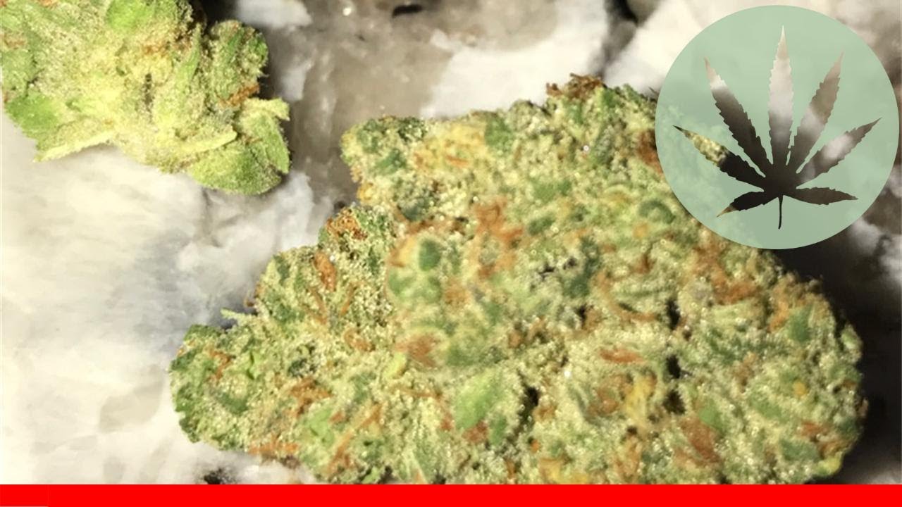 Skunkberry - All About This Strain