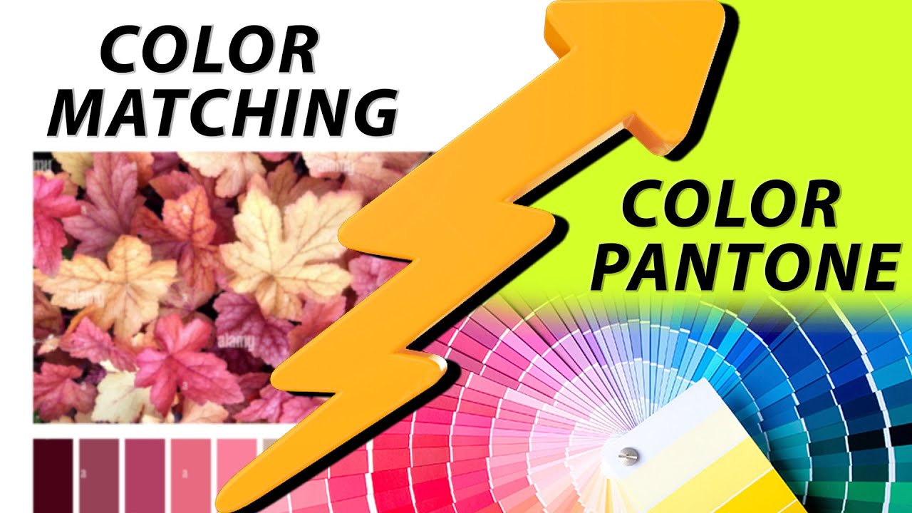 How to Match Color of Design || Matching Color  ||What is digital color matching?