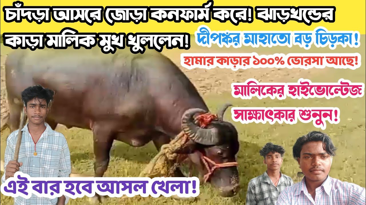 চাঁদড়া আসরে ১০টা ৫১নর সাথে জোড়া কনফার্ম করে! ঝাড়খন্ডের কাড়া মালিক মুখ খুললেন দেখুন তাড়াতাড়ি!