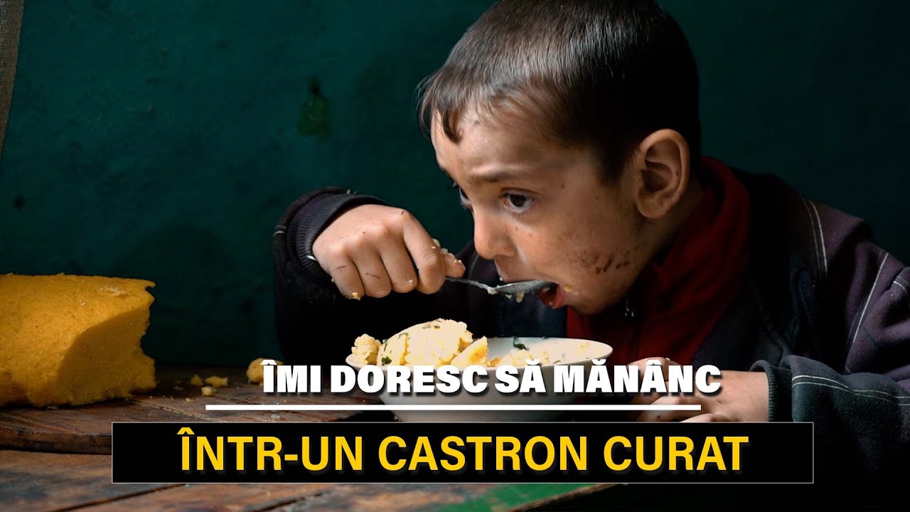 &Icirc;mi doresc să măn&acirc;nc &icirc;ntr-un castron curat&hellip;