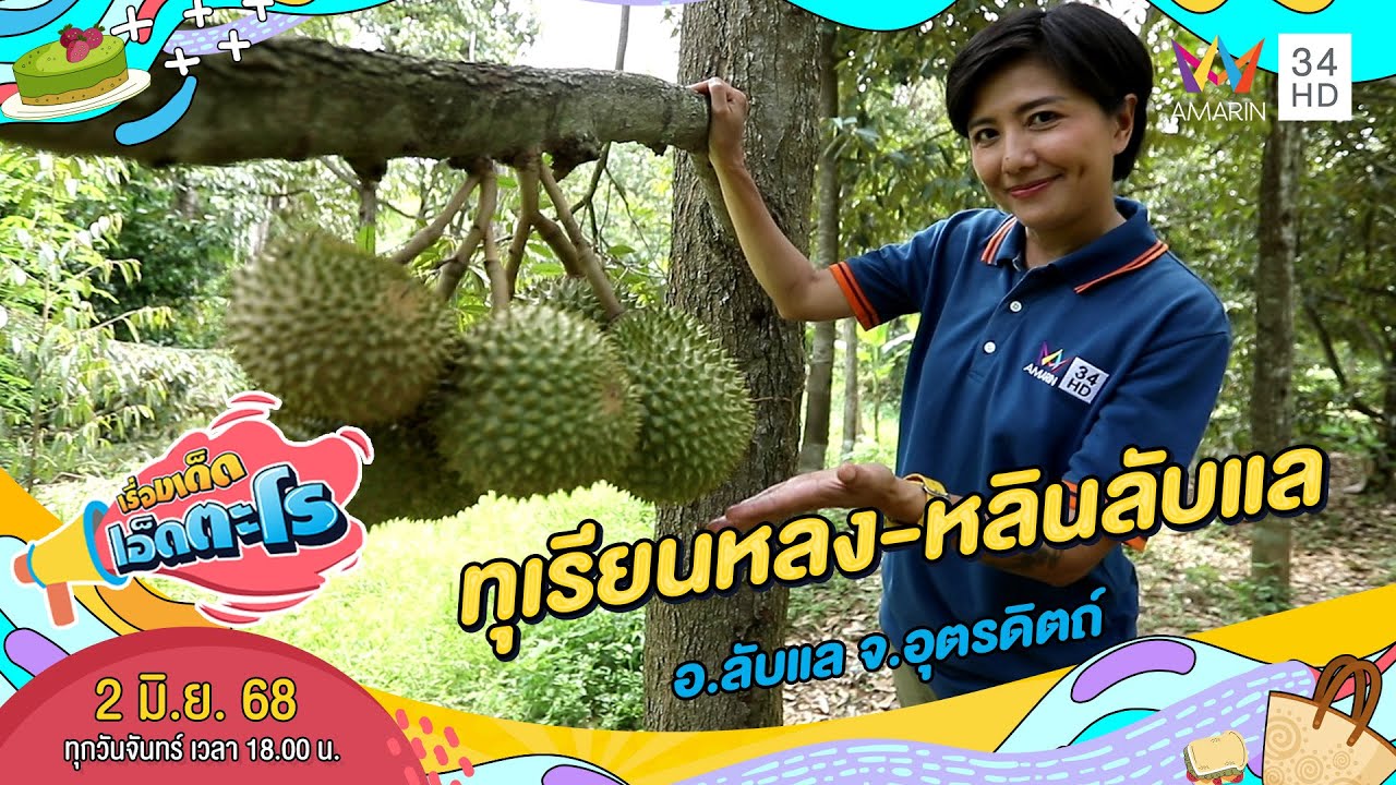 ทุเรียนหลง-หลินลับแล อ.ลับแล จ.อุตรดิตถ์ | เรื่องเด็ดเอ็ดตะโร | 2 มิ.ย. 68 (3/4)