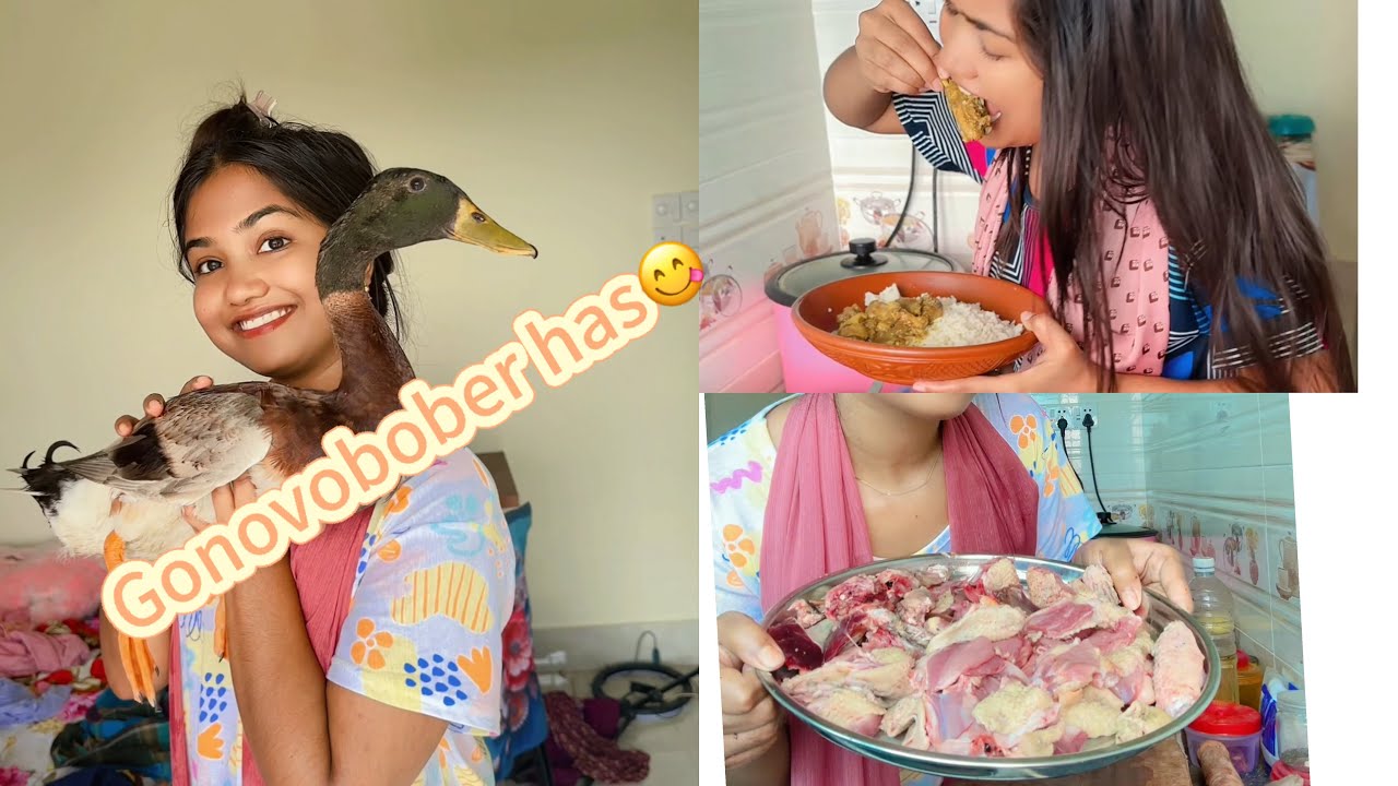 গণভবনের হাঁস দেইখা লোভ সামলাইতে পারিনায়😂😋