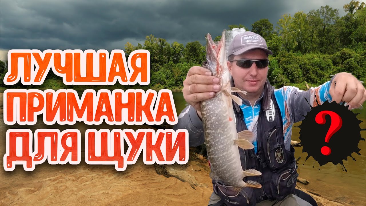 Секретная приманка для ловли в коряжнике