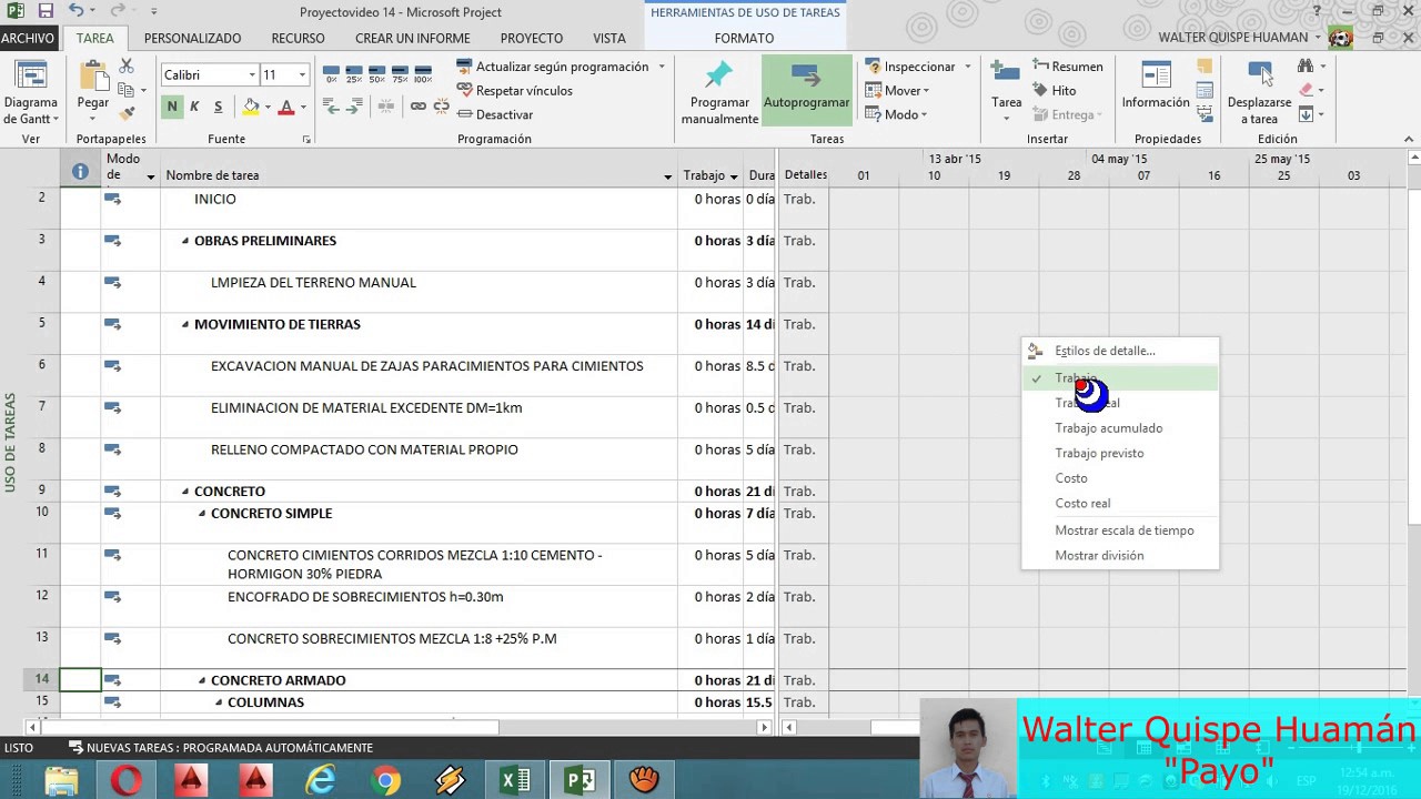 COMO SE REALIZA EL CRONOGRAMA VALORIZADO EN MS PROJECT