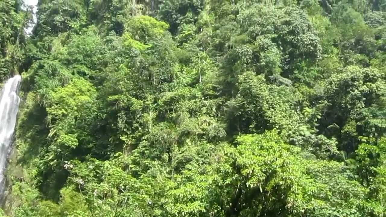Trafalgar Falls in Dominica (1 of 2)