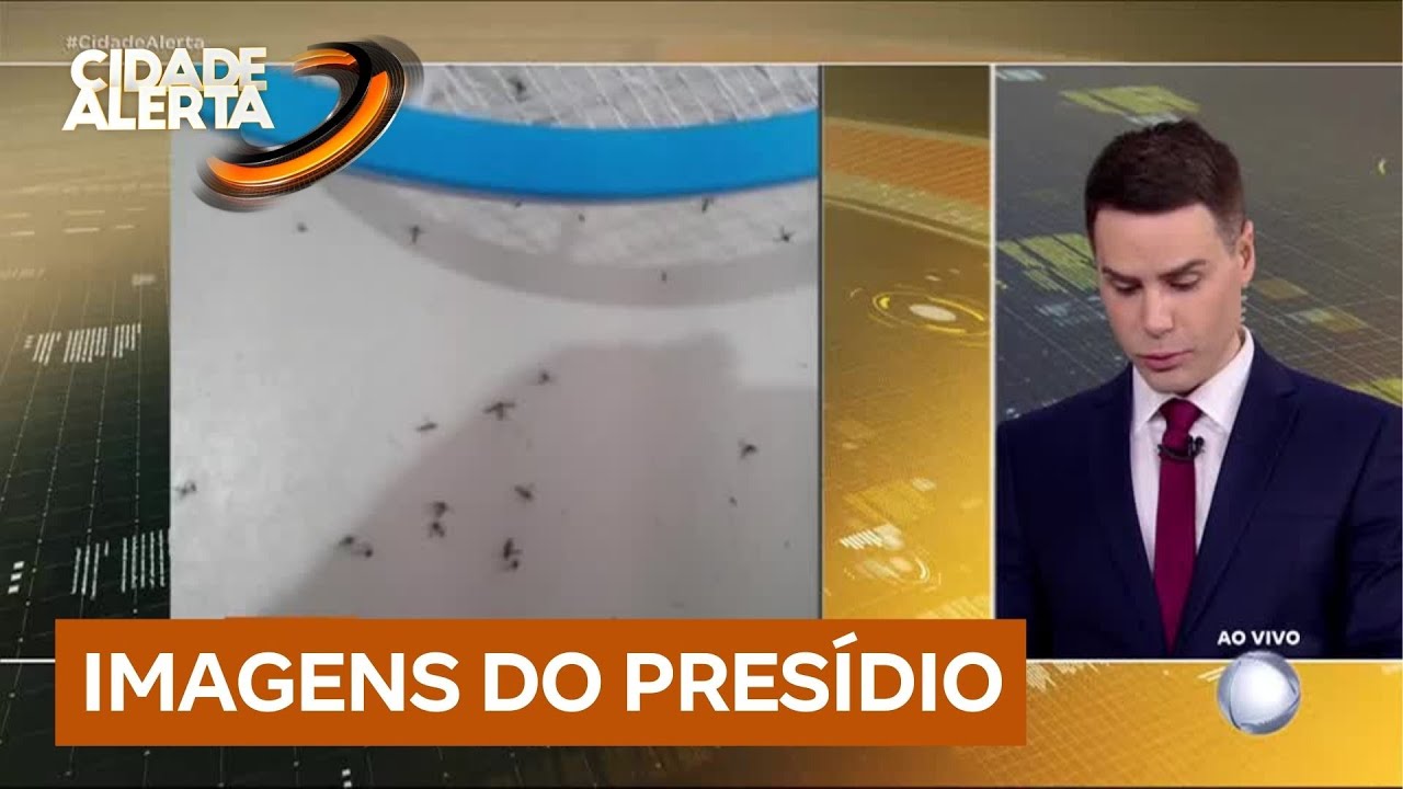 Exclusivo: Cidade Alerta mostra presídio onde Deolane Bezerra ficará presa