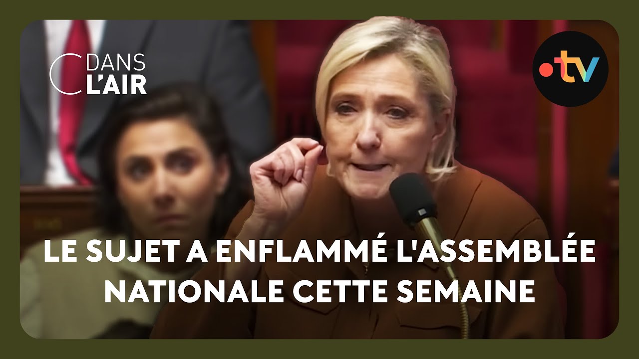 La droite et l'extrême droite veulent relancer le débat sur l'immigration #cdanslair 08.02.2025