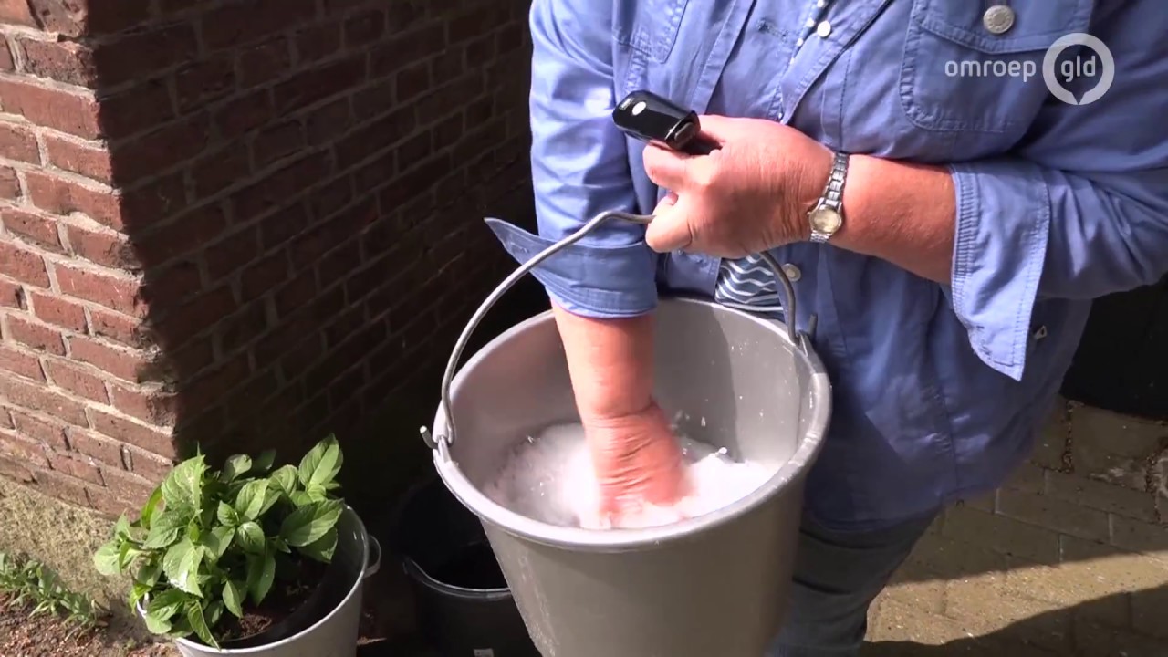 De meikever te lijf met een bouwlamp en een vet sopje
