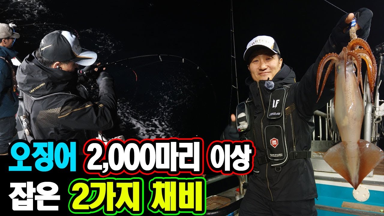 오징어 2000마리 이상 잡은 2가지 채비 왕오징어 낚시