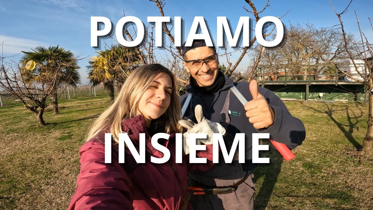 Come POTIAMO un ALBICOCCO da giardino e il TREBBIANO.