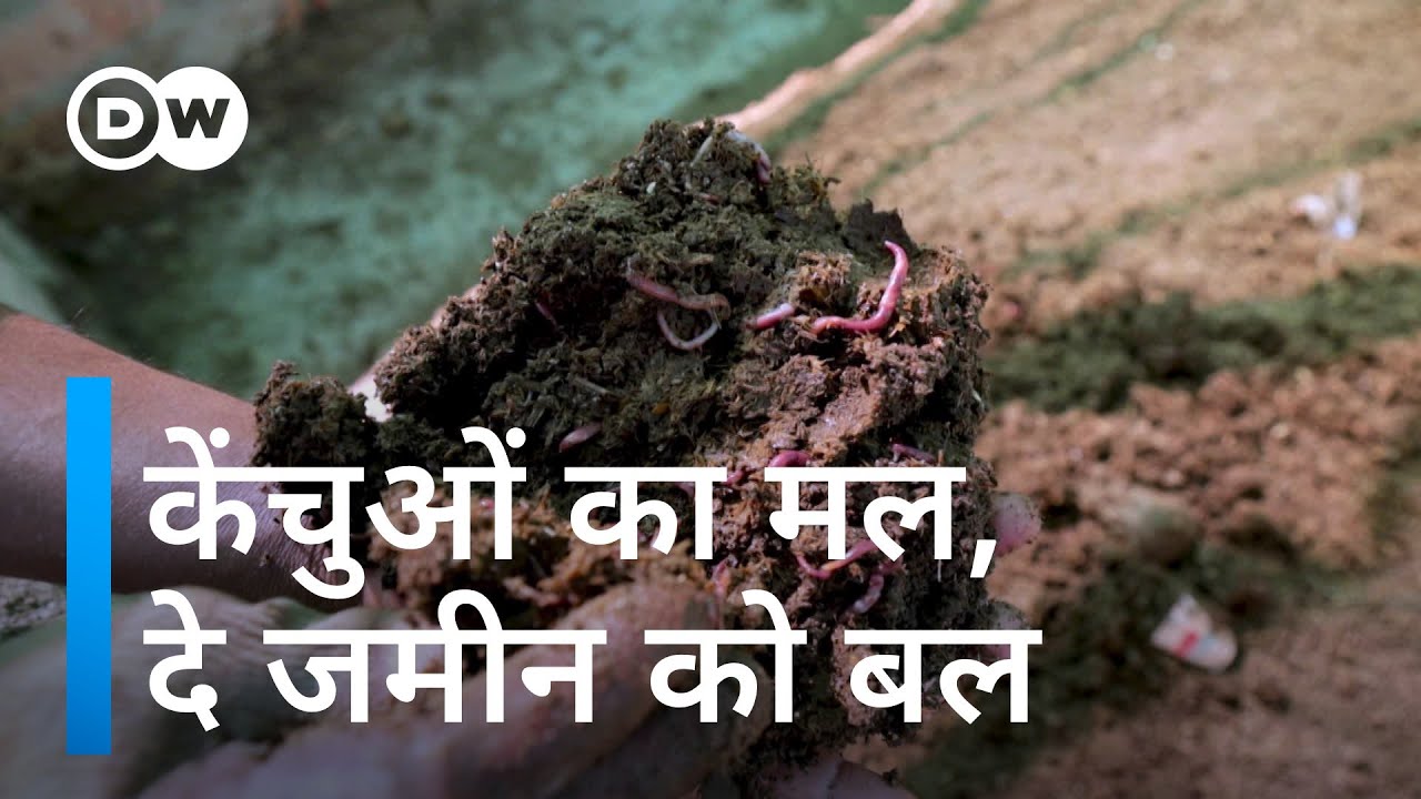 धरती के इंजीनियर हैं केंचुएं [The benefits of composting with earthworms]